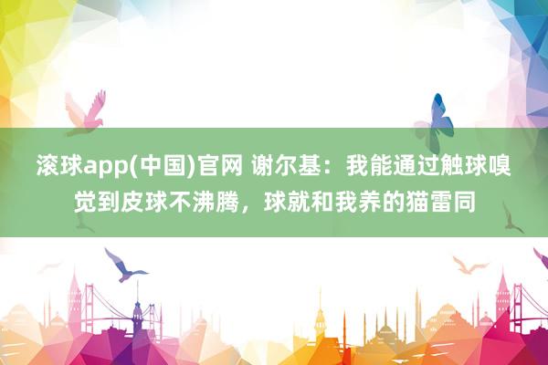 滚球app(中国)官网 谢尔基：我能通过触球嗅觉到皮球不沸腾，球就和我养的猫雷同