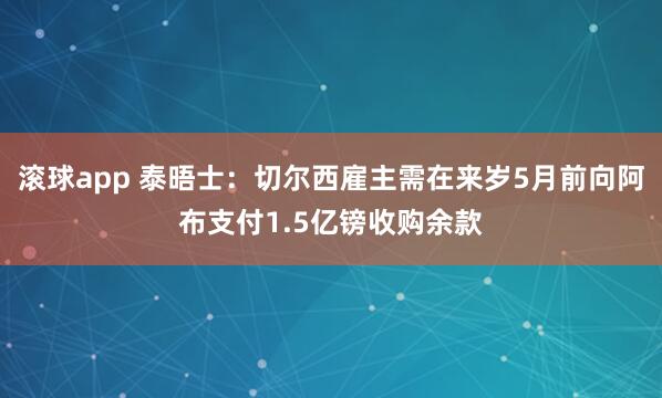 滚球app 泰晤士：切尔西雇主需在来岁5月前向阿布支付1.5亿镑收购余款