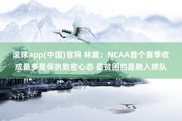 滚球app(中国)官网 林葳：NCAA首个赛季收成最多是保执致密心态 最贫困的是融入球队