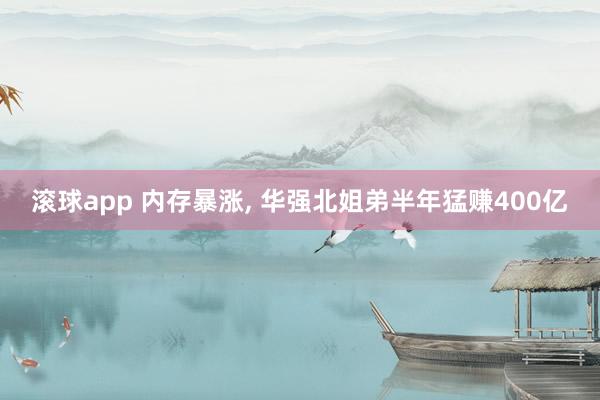 滚球app 内存暴涨， 华强北姐弟半年猛赚400亿