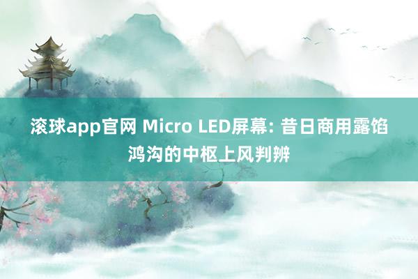 滚球app官网 Micro LED屏幕: 昔日商用露馅鸿沟的中枢上风判辨