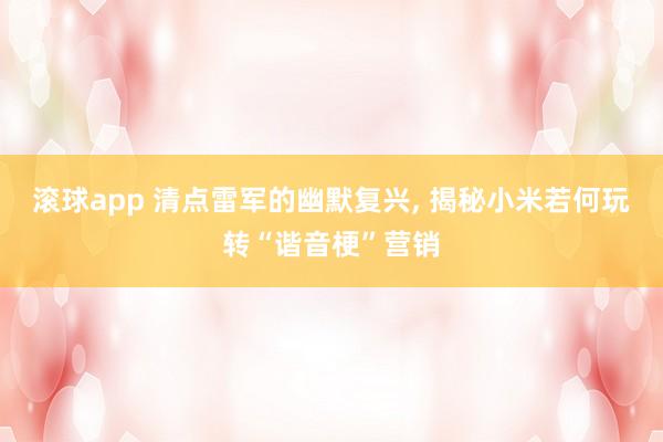 滚球app 清点雷军的幽默复兴， 揭秘小米若何玩转“谐音梗”营销