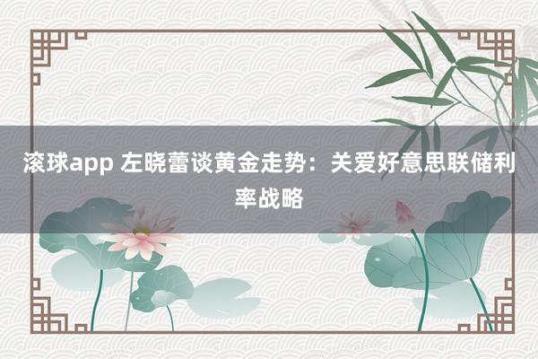 滚球app 左晓蕾谈黄金走势：关爱好意思联储利率战略