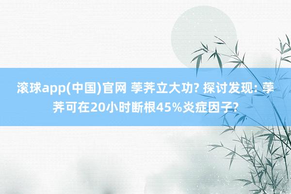 滚球app(中国)官网 荸荠立大功? 探讨发现: 荸荠可在20小时断根45%炎症因子?