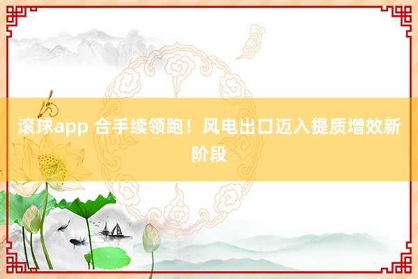 滚球app 合手续领跑！风电出口迈入提质增效新阶段
