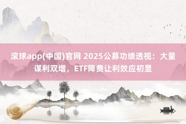 滚球app(中国)官网 2025公募功绩透视：大量谋利双增，ETF降费让利效应初显