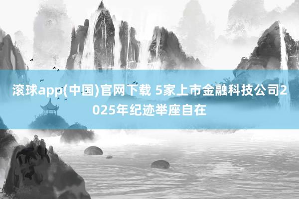 滚球app(中国)官网下载 5家上市金融科技公司2025年纪迹举座自在