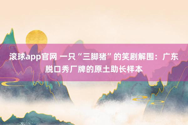 滚球app官网 一只“三脚猪”的笑剧解围：广东脱口秀厂牌的原土助长样本