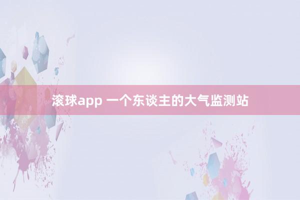 滚球app 一个东谈主的大气监测站