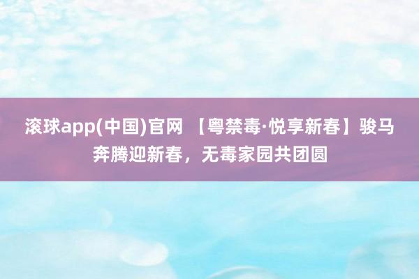 滚球app(中国)官网 【粤禁毒·悦享新春】骏马奔腾迎新春，无毒家园共团圆