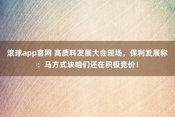 滚球app官网 高质料发展大会现场，保利发展称：马方式块咱们还在积极竞价！