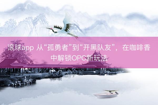 滚球app 从“孤勇者”到“开黑队友”，在咖啡香中解锁OPC新玩法