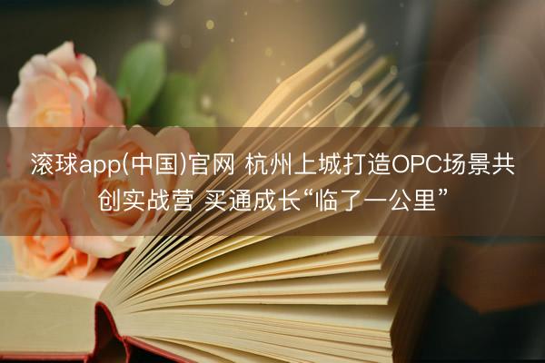 滚球app(中国)官网 杭州上城打造OPC场景共创实战营 买通成长“临了一公里”