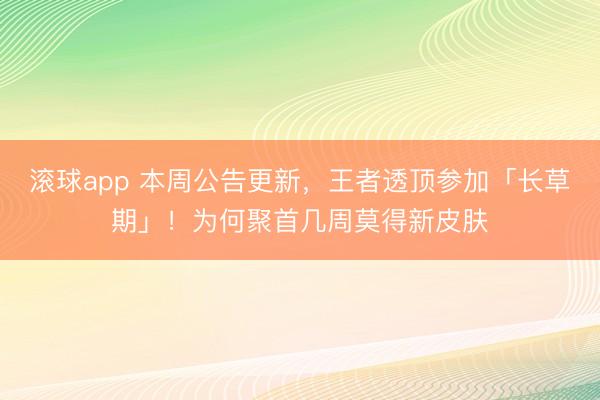 滚球app 本周公告更新，王者透顶参加「长草期」！为何聚首几周莫得新皮肤