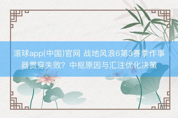 滚球app(中国)官网 战地风浪6第3赛季作事器贯穿失败？中枢原因与汇注优化决策