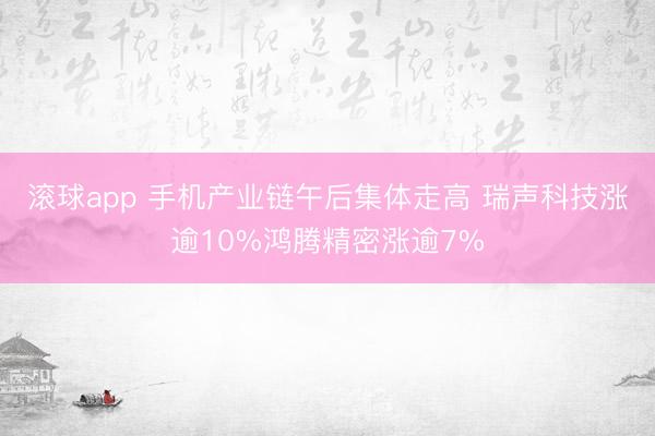 滚球app 手机产业链午后集体走高 瑞声科技涨逾10%鸿腾精密涨逾7%