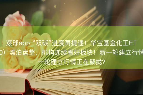滚球app “双碳”进度再提速！华宝基金化工ETF（516020）漂泊盘整，机构连续看好板块！新一轮建立行情正在聚拢？