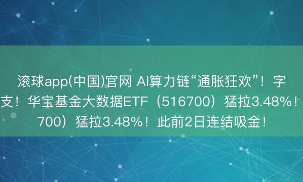 滚球app(中国)官网 AI算力链“通胀狂欢”！字节加多25%本钱开支！华宝基金大数据ETF（516700）猛拉3.48%！此前2日连结吸金！