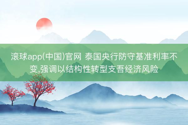 滚球app(中国)官网 泰国央行防守基准利率不变，强调以结构性转型支吾经济风险