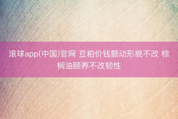 滚球app(中国)官网 豆粕价钱颤动形貌不改 棕榈油颐养不改韧性