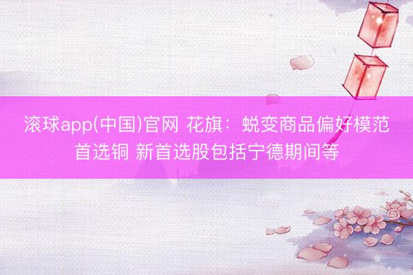滚球app(中国)官网 花旗:蜕变商品偏好模范首选铜 新首选股包括宁德期间等