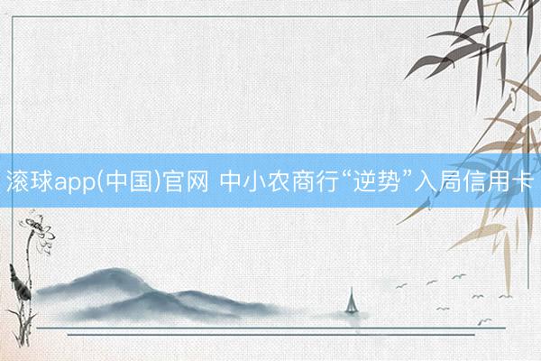 滚球app(中国)官网 中小农商行“逆势”入局信用卡