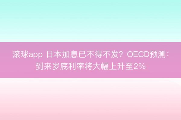 滚球app 日本加息已不得不发？OECD预测：到来岁底利率将大幅上升至2%