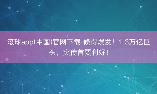 滚球app(中国)官网下载 倏得爆发！1.3万亿巨头，突传首要利好！