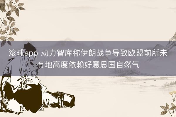 滚球app 动力智库称伊朗战争导致欧盟前所未有地高度依赖好意思国自然气