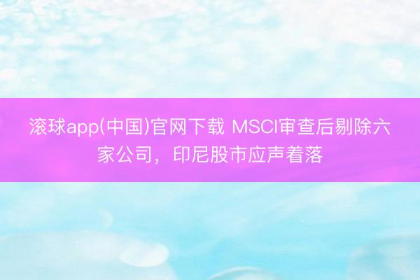 滚球app(中国)官网下载 MSCI审查后剔除六家公司，印尼股市应声着落