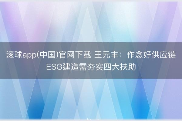 滚球app(中国)官网下载 王元丰：作念好供应链ESG建造需夯实四大扶助