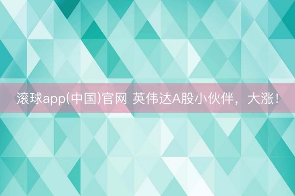 滚球app(中国)官网 英伟达A股小伙伴，大涨！