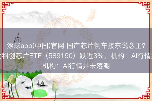 滚球app(中国)官网 国产芯片倒车接东说念主？华宝基金科创芯片ETF（589190）跌近3%，机构：AI行情并未落潮