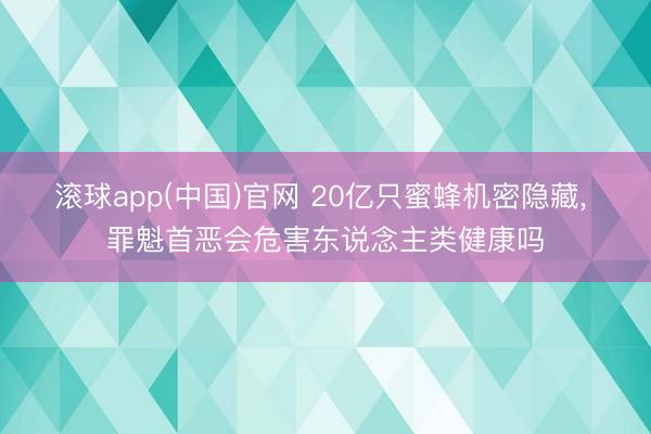 滚球app(中国)官网 20亿只蜜蜂机密隐藏， 罪魁首恶会危害东说念主类健康吗