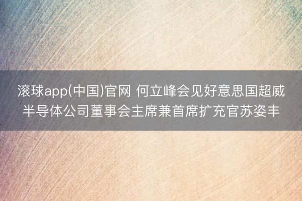 滚球app(中国)官网 何立峰会见好意思国超威半导体公司董事会主席兼首席扩充官苏姿丰