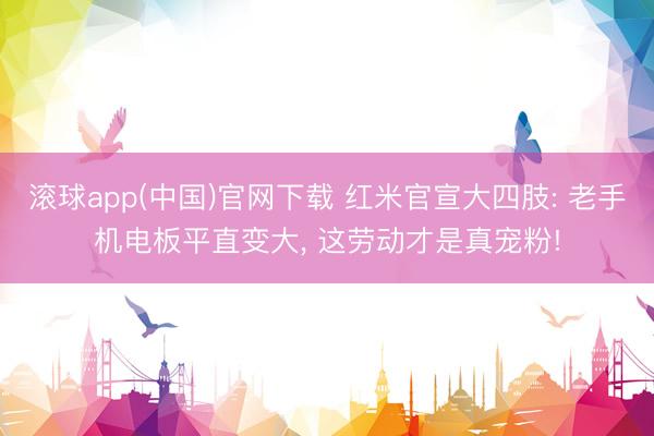 滚球app(中国)官网下载 红米官宣大四肢: 老手机电板平直变大， 这劳动才是真宠粉!