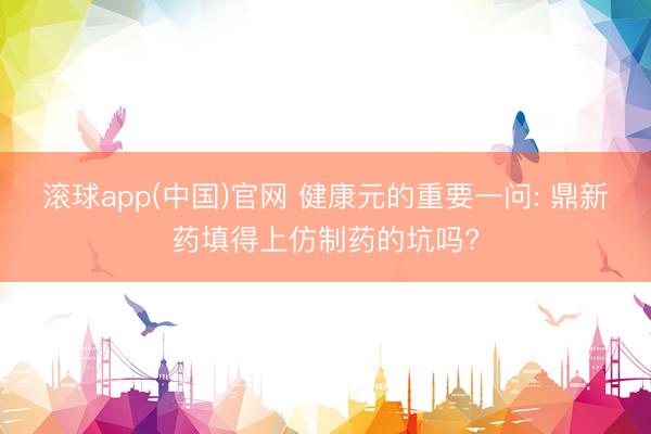 滚球app(中国)官网 健康元的重要一问: 鼎新药填得上仿制