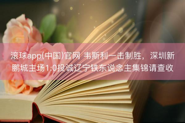 滚球app(中国)官网 韦斯利一击制胜，深圳新鹏城主场1:0投诚辽宁铁东说念主集锦请查收