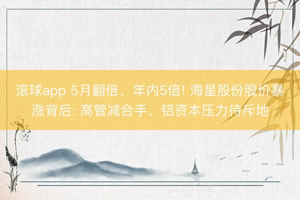 滚球app 5月翻倍、年内5倍! 海星股份股价暴涨背后: 高管减合手、铝资本压力待斥地