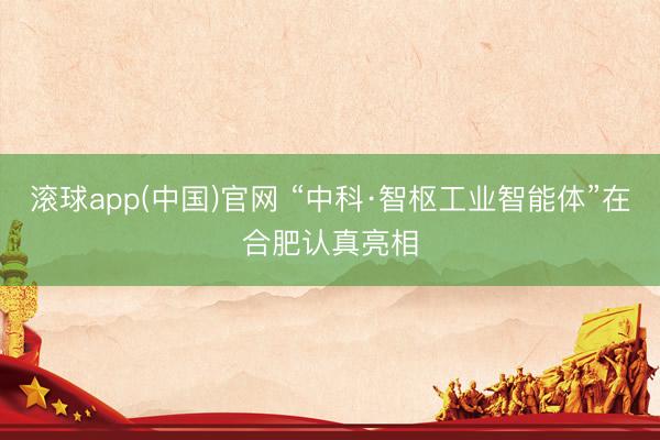 滚球app(中国)官网 “中科·智枢工业智能体”在合肥认真亮相