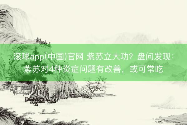 滚球app(中国)官网 紫苏立大功？盘问发现：紫苏对4种炎症问题有改善，或可常吃