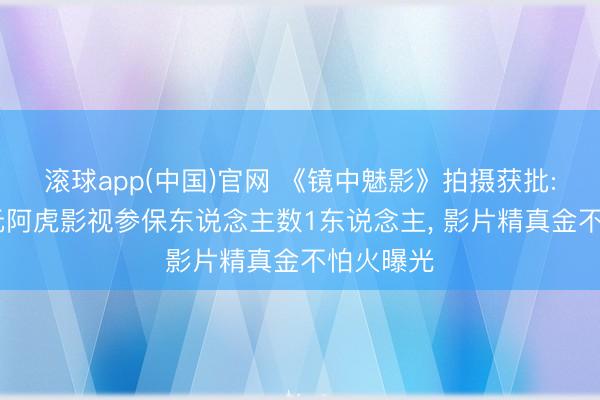 滚球app(中国)官网 《镜中魅影》拍摄获批: 备案单元阿虎影视参保东说念主数1东说念主， 影片精真金不怕火曝光