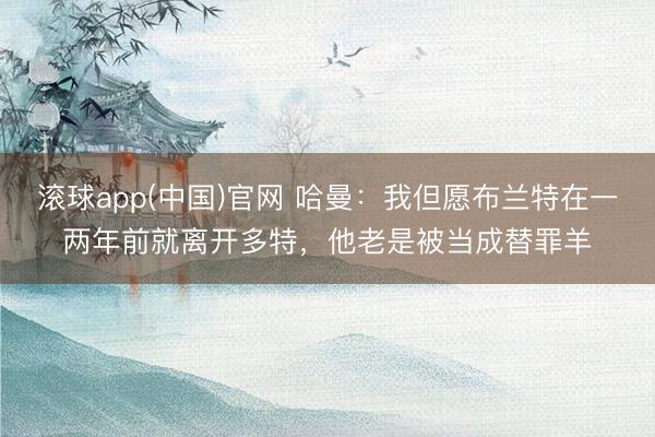 滚球app(中国)官网 哈曼：我但愿布兰特在一两年前就离开多特，他老是被当成替罪羊