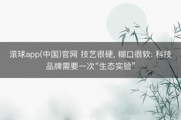 滚球app(中国)官网 技艺很硬, 糊口很软: 科技品牌需要