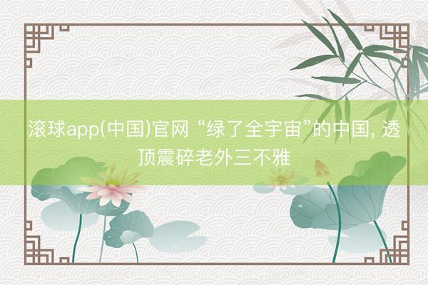 滚球app(中国)官网 “绿了全宇宙”的中国， 透顶震碎老外三不雅