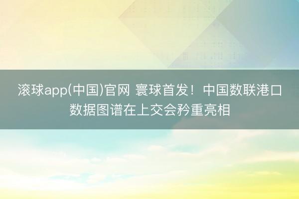 滚球app(中国)官网 寰球首发！中国数联港口数据图谱在上交会矜重亮相