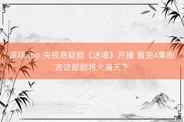 滚球app 央视悬疑剧《迷墙》开播 看完4集断言这部剧将火遍天下
