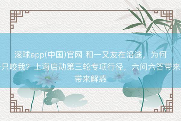 滚球app(中国)官网 和一又友在沿途，为何蚊子只咬我？上海启动第三轮专项行径，六问六答带来解惑