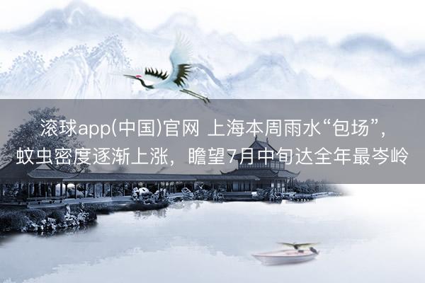 滚球app(中国)官网 上海本周雨水“包场”，蚊虫密度逐渐上涨，瞻望7月中旬达全年最岑岭